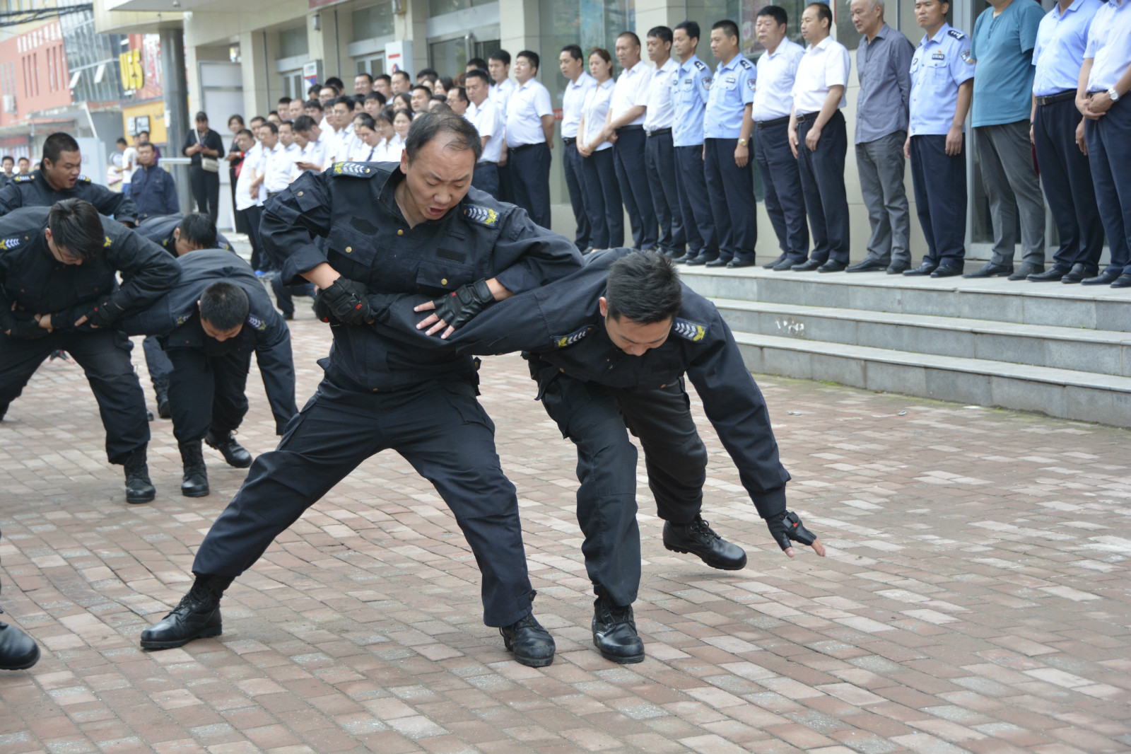 1561124442120648.jpg _DSC1499_meitu_2.jpg