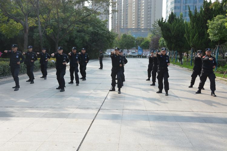 1571187440124632.jpg 10.jpg