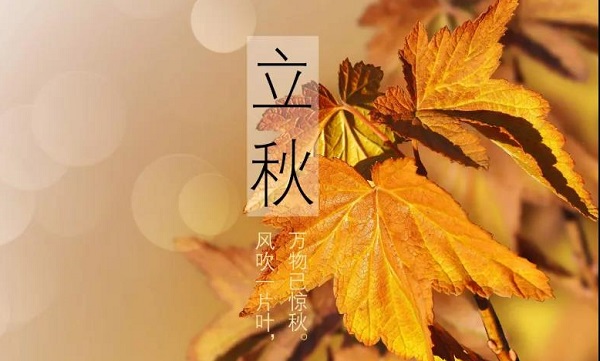 1596767755984585.jpg 微信圖片_20200807103336-1.jpg