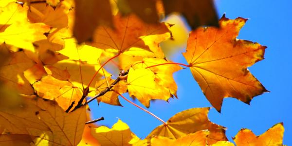 1600249189340354.jpg u=2242121514,4115770148&fm=26&gp=0.jpg