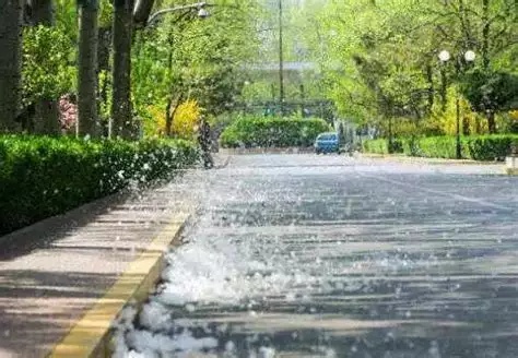 1619572268156101.jpg 微信圖片_20210428091053.jpg