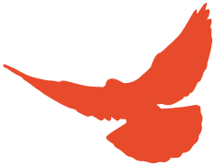 1648517306579652.png 圖片4.png