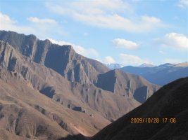 1649667420997095.jpg psc (10).jpg