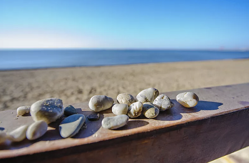 1651019569253190.png 圖片1.png