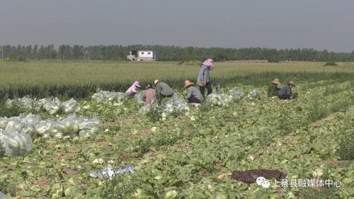 1651744704465932.jpg 微信圖片_20220505174729.jpg