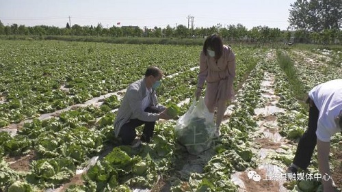 1651744853840486.jpg 微信圖片_20220505180318.jpg