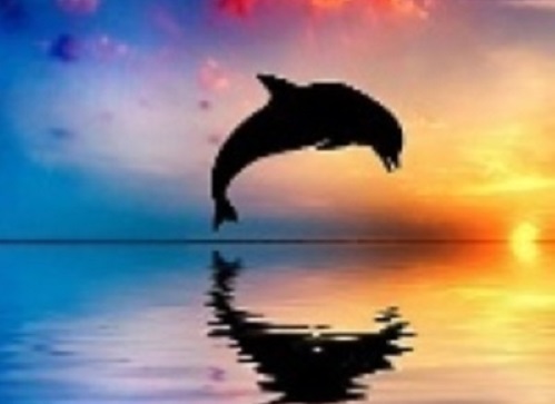 1653266807822732.jpg t013c38bce731333f9b.jpg