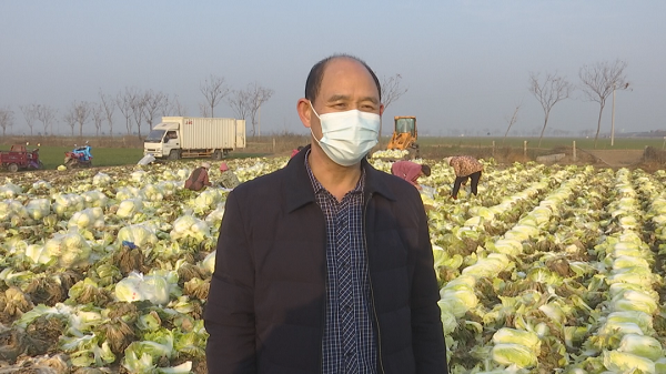 1677467873431721.png 微信圖片白菜3.png